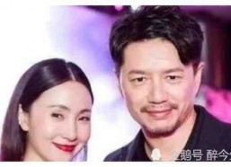 娱乐圈明星在线吃瓜小说,明星们的“瓜田”盛宴